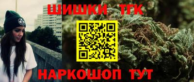 амф Гай