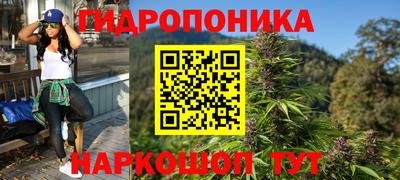 амф Гай