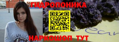 амф Гай