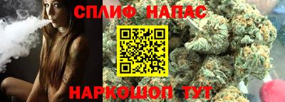 амф Гай