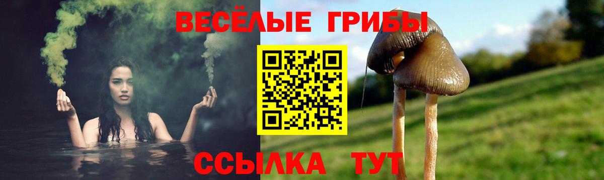 Новосибирск  Галлюциногенные грибы мухоморы  Вход с VPN 
