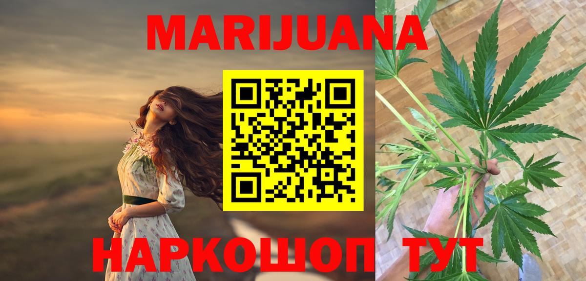 Бошки марихуана гибрид Новосибирск